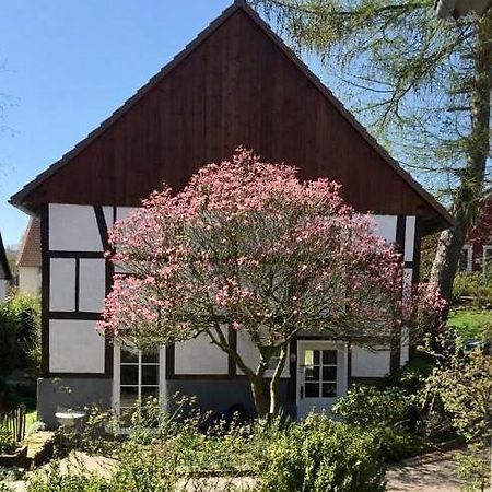 Gemuetliches Ferienhaus Im Extertal/ Lippe Eksteriør bilde