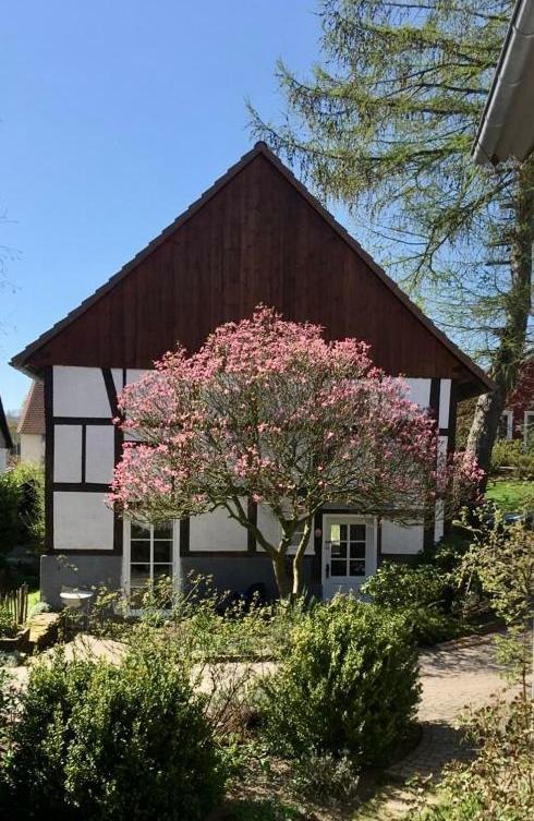 Gemuetliches Ferienhaus Im Extertal/ Lippe Eksteriør bilde