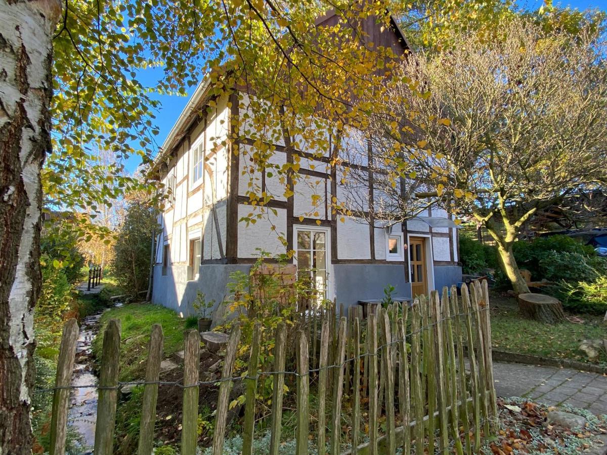 Gemuetliches Ferienhaus Im Extertal/ Lippe Eksteriør bilde